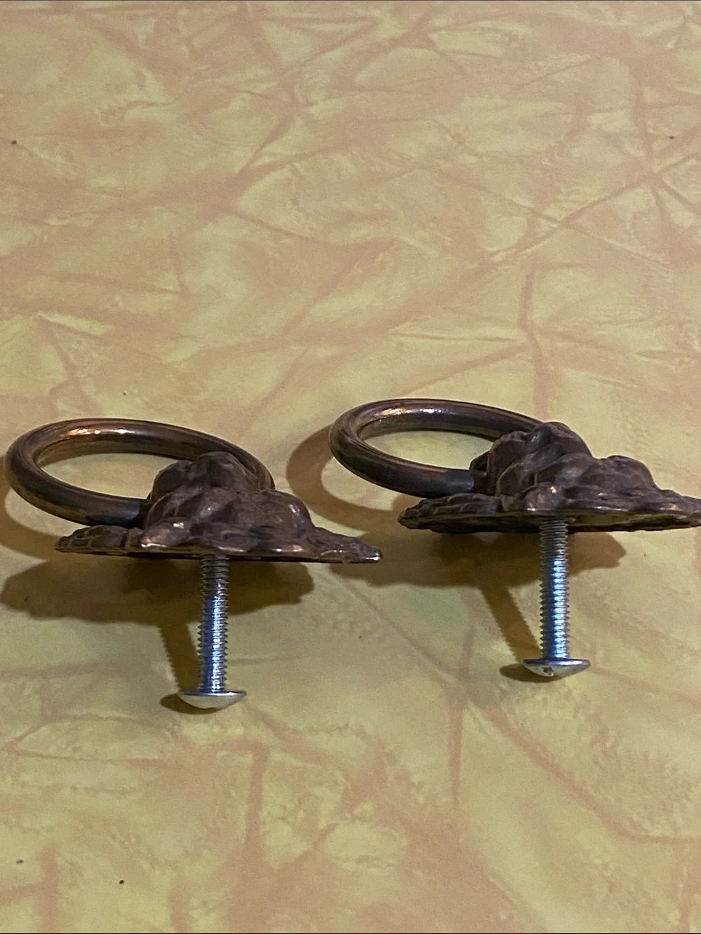 Bronze Lion Head Knobs Bronze Finish